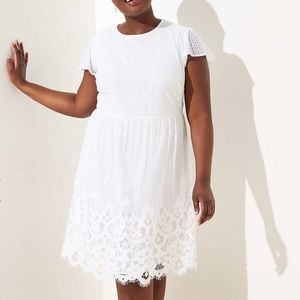 LOFT PLUS White Lace Dress
